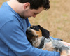 Hund liegt im Arm seines Besitzers und bietet ihm dadurch emotionalen Halt.