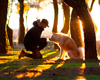 Mann vor braunem Hund im Wald